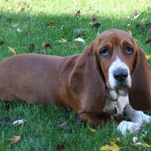 Meet your Posher, Diane